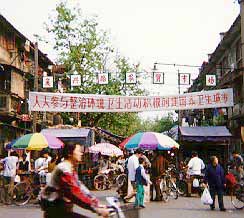 bashan.jpg (20893 bytes)