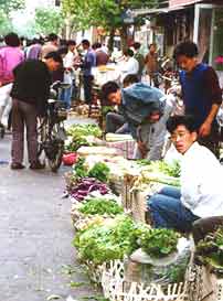 eggplant.jpg (10212 bytes)