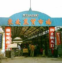 mdjmkts.jpg (27802 bytes)