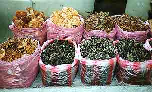 mdjmush.jpg (58360 bytes)