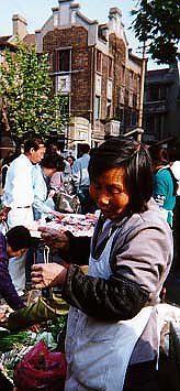 whiteco.jpg (29112 bytes)