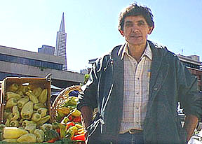 lucero.jpg (28125 bytes)